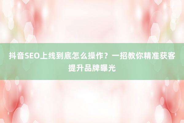 抖音SEO上线到底怎么操作？一招教你精准获客提升品牌曝光