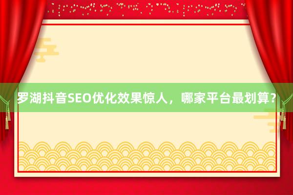 罗湖抖音SEO优化效果惊人，哪家平台最划算？