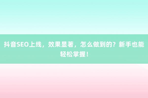 抖音SEO上线，效果显著，怎么做到的？新手也能轻松掌握！