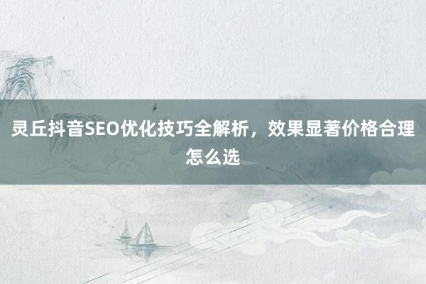 灵丘抖音SEO优化技巧全解析，效果显著价格合理怎么选