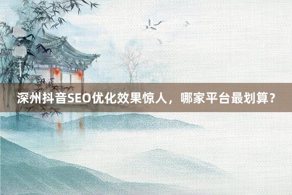 深州抖音SEO优化效果惊人，哪家平台最划算？