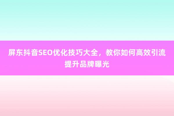 屏东抖音SEO优化技巧大全，教你如何高效引流提升品牌曝光