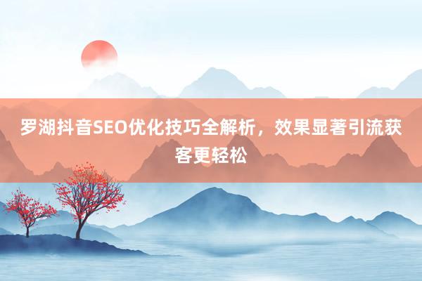 罗湖抖音SEO优化技巧全解析，效果显著引流获客更轻松
