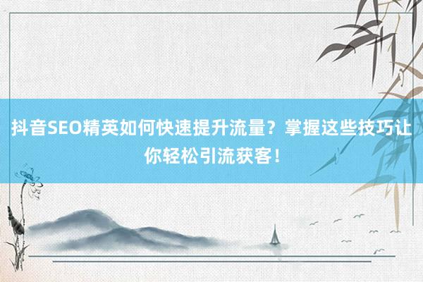 抖音SEO精英如何快速提升流量？掌握这些技巧让你轻松引流获客！